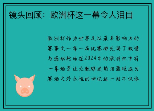 镜头回顾：欧洲杯这一幕令人泪目